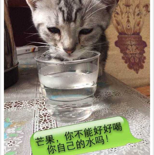 哪里可以制作北方教育学院毕业证